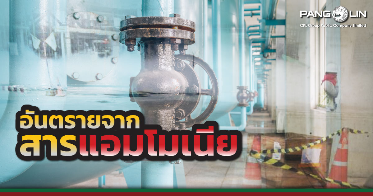 แอมโมเนียอันตราย