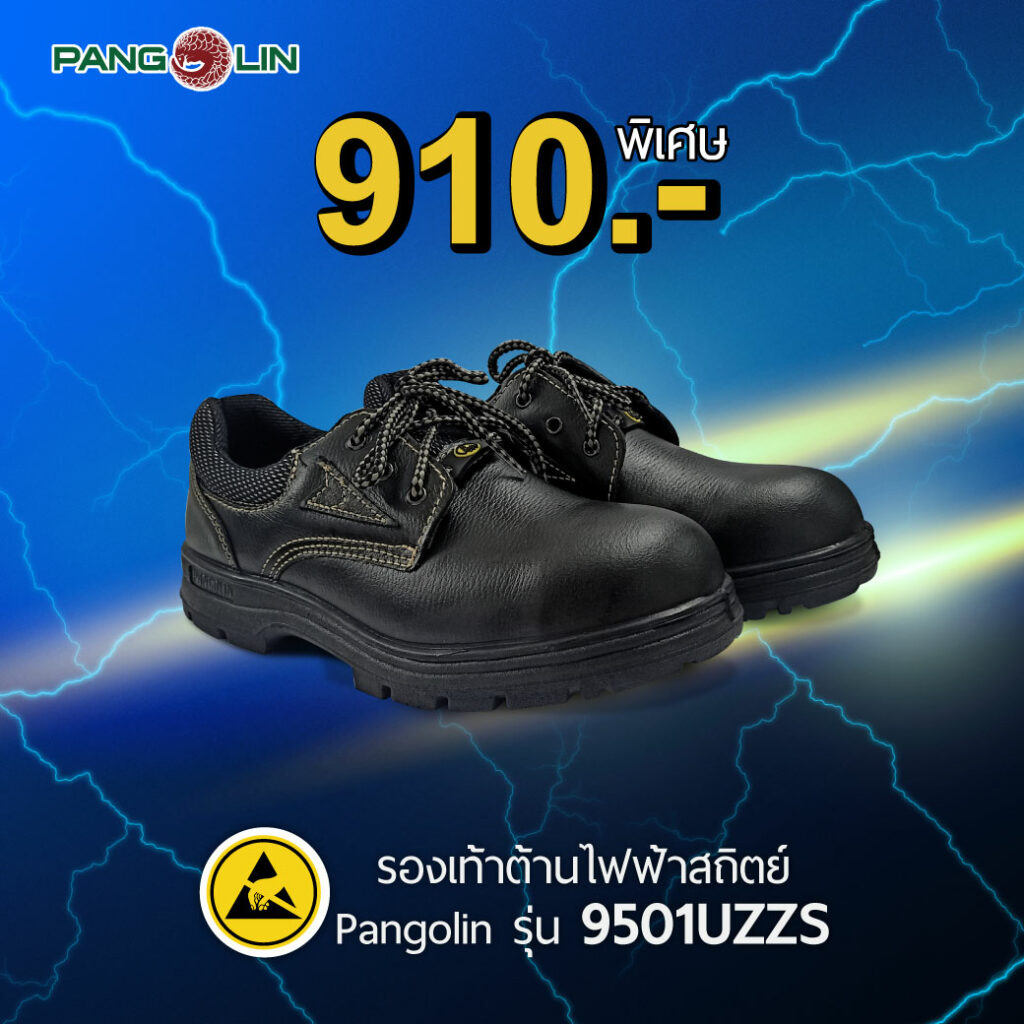 9501 ESD 11 22 1040x1040 px pk